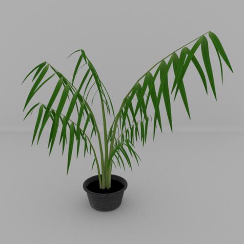 Decorative plant preview image